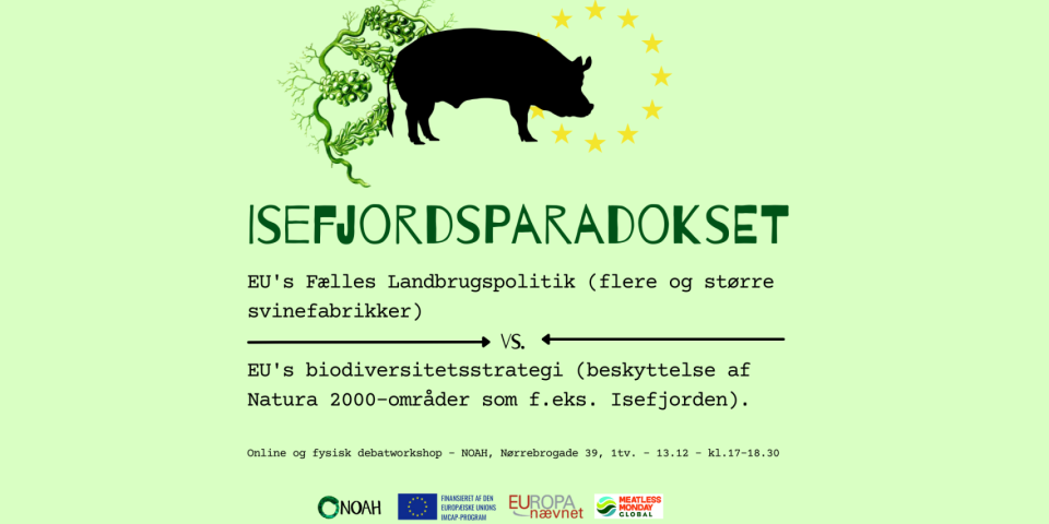 Isefjordsparadokset