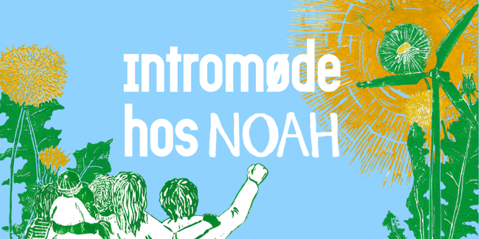 Grafik: NOAH Intromøde plakat