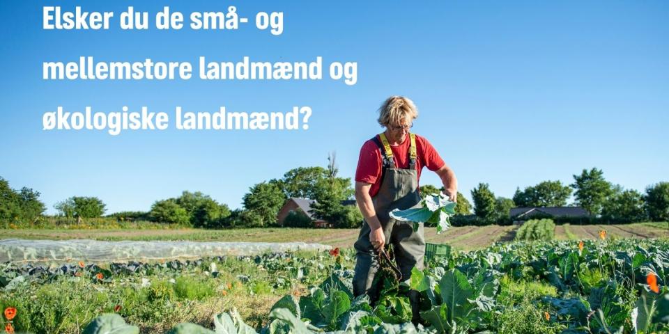 kampagne kampagne